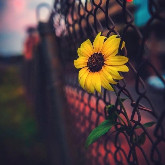 Meet your Posher, Paige - Picture 1 of 1